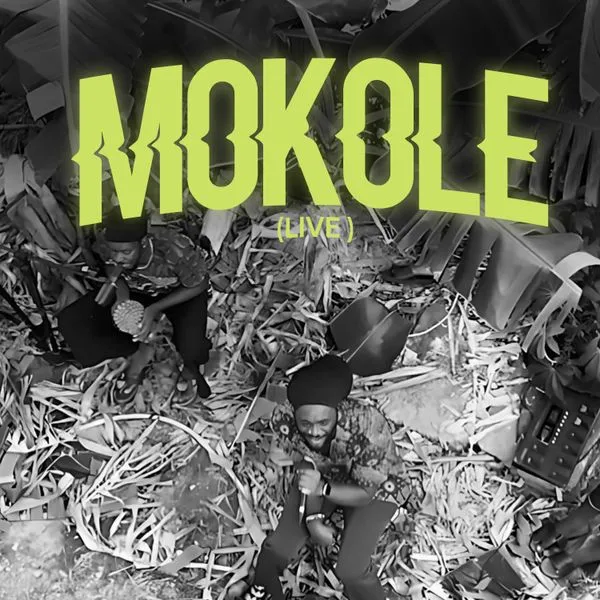 Ayisi – Mokole Live Ft. Nkyinkyim Band Mp3 Download