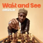 Drizilik – Blame