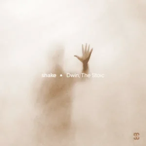 Dwin – To You ft. The Stoic & Ogranya