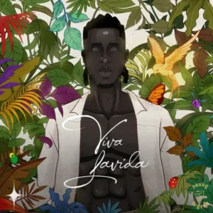Joeboy – Abena
