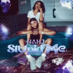 Nahj – Stupid Me(Acoustic)