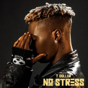 T Dollar – Ginger