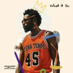 Tena Tenpo – What It Do