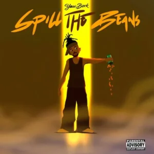 Yaw Berk – Depression